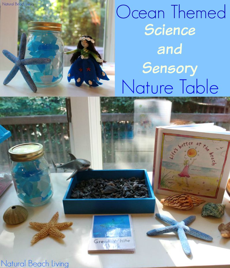 It's not just a table, it's a Science, Sensory, Nature table full of exciting items to discover. Check out the coolest sensory bin EVER!  
