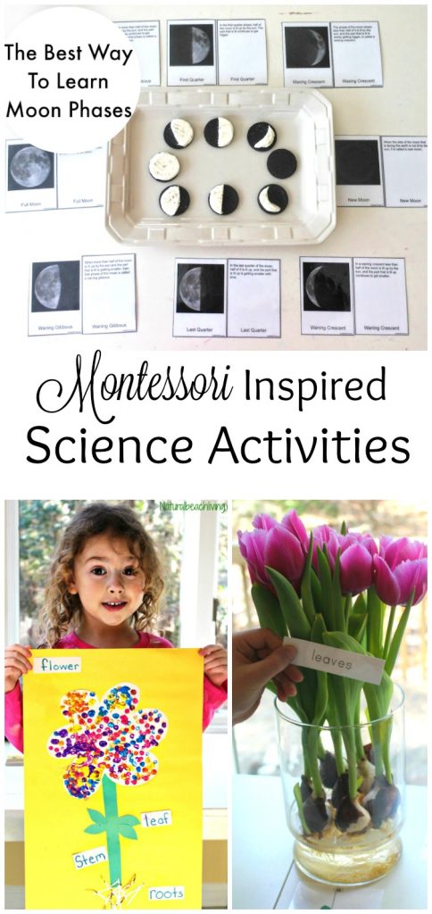 Preschool Montessori Science, Montessori Science activities for preschoolers, Hands on activities for kids, Astronomy, Botany, Zoology, STEM, and so much more