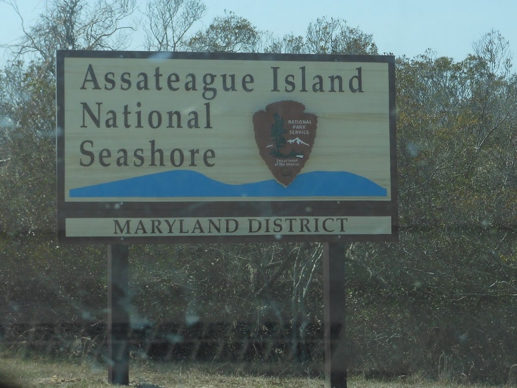 Assateague Island – Where the Ponies Run Free