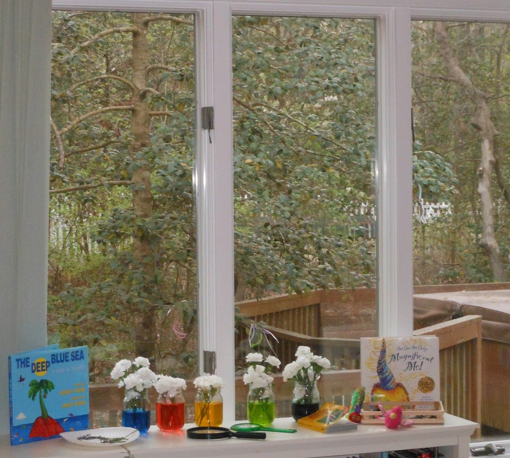 Homeschool room, organization, school, preschool, baby room, play room, reading area, toodler, Montessori, nature table, www.naturalbeachliving.com