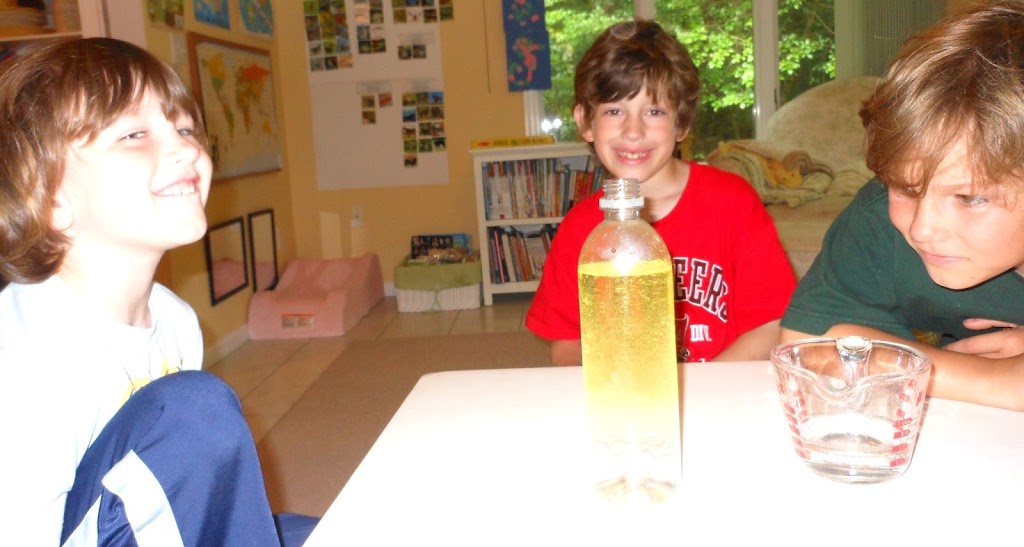 Kids Love These Letter V Activities, Find exciting science activities to do with your preschooler. Help your child develop a love for learning and a curiosity about the natural world. From exploring the properties of vinegar to learning about volcanoes, there are plenty of fun and engaging science activities that start with the letter V.