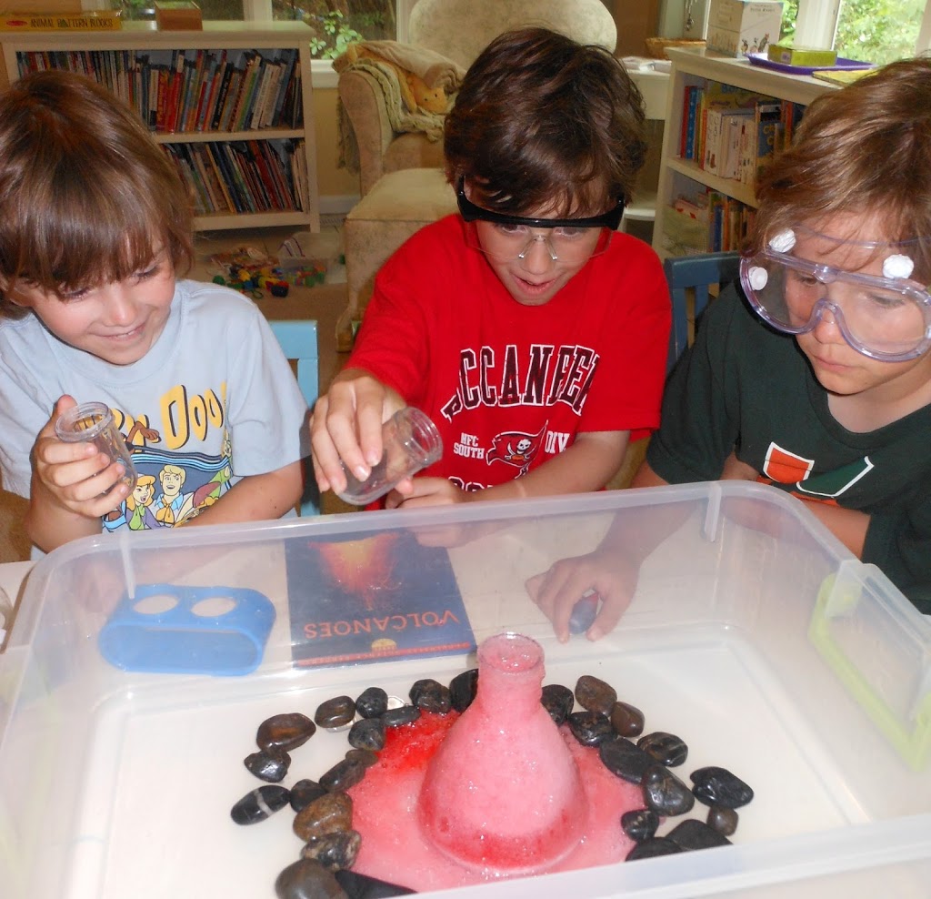 Kids Love These Letter V Activities, Find exciting science activities to do with your preschooler. Help your child develop a love for learning and a curiosity about the natural world. From exploring the properties of vinegar to learning about volcanoes, there are plenty of fun and engaging science activities that start with the letter V.