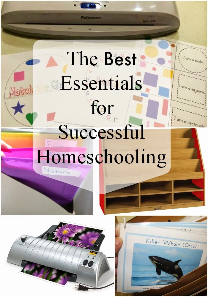 The Best Essentials for Homeschooling Success
