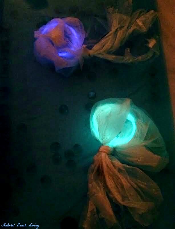 Five in a row sensory play, Night of the Moonjellies, Jelly fish sensory play and unit study that is AWESOME!!! Classic book and Activities