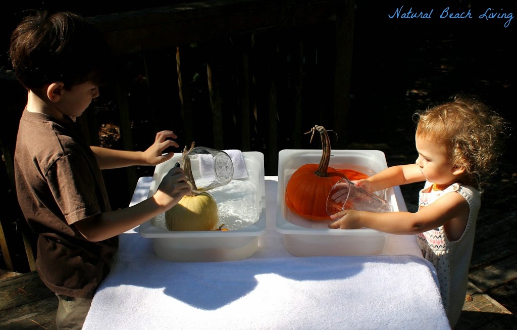 The Cutest Montessori Inspired Pumpkin Washing Station for kids, Perfect Fall Activity, Great Autumn Pictures and Montessori Quotes.