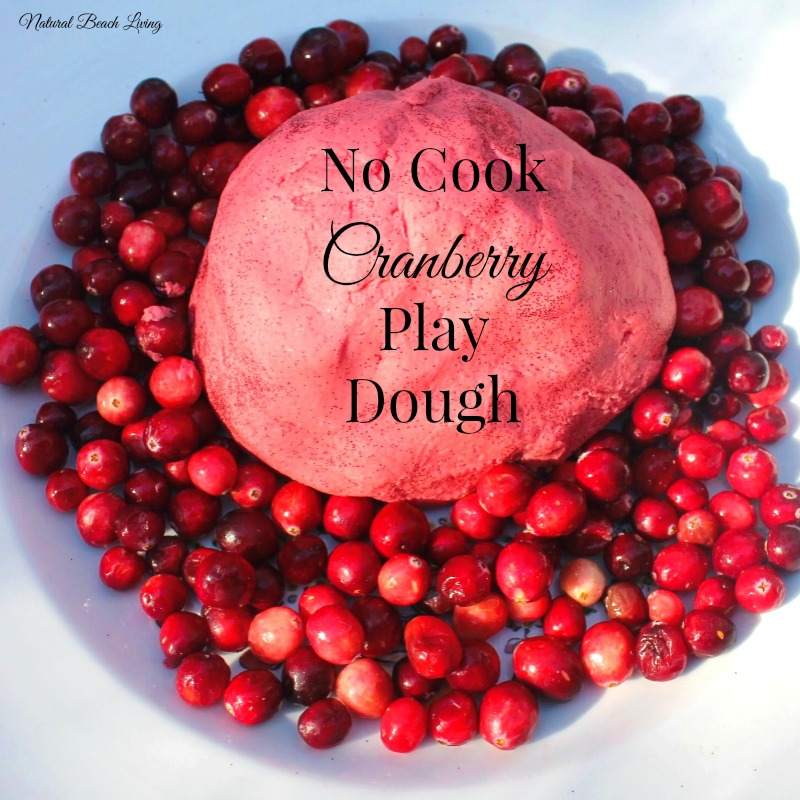 No Cook Christmas cranberry play dough