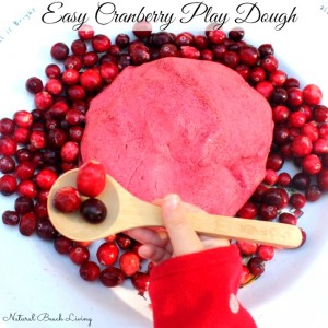 Easy no cook cranberry play dough