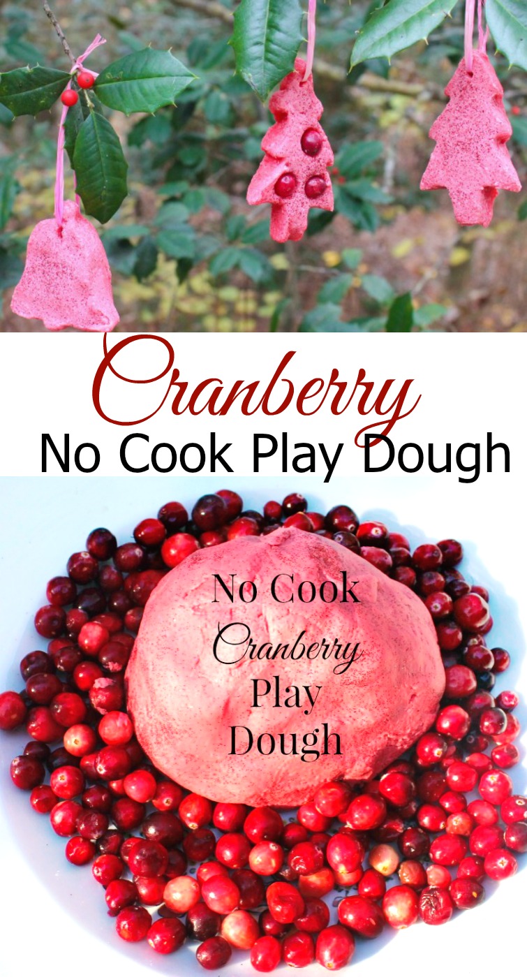 Easy Homemade Christmas No Cook Cranberry Play Dough, natural sensory play, Winter Sensory Play, Homemade dough, Perfect! www.naturalbeachliving.com