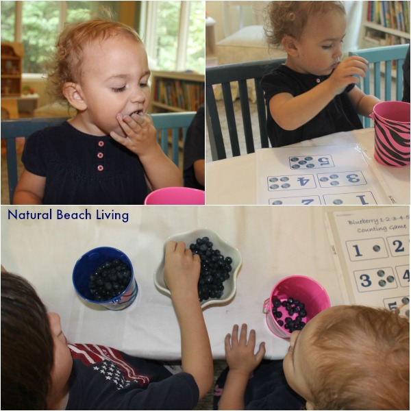 Blueberries for Sal classic literature, books, Toddler & Preschool activities, hands on learning, Math, Senses, BFIAR,Letter B Alphabet,Natural Beach Living