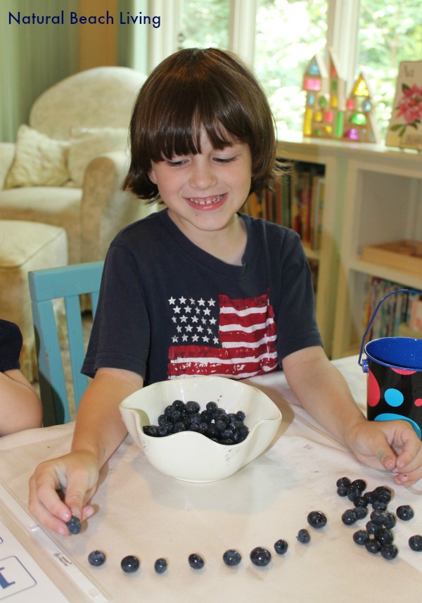 Blueberries for Sal classic literature, books, Toddler & Preschool activities, hands on learning, Math, Senses, BFIAR,Letter B Alphabet,Natural Beach Living