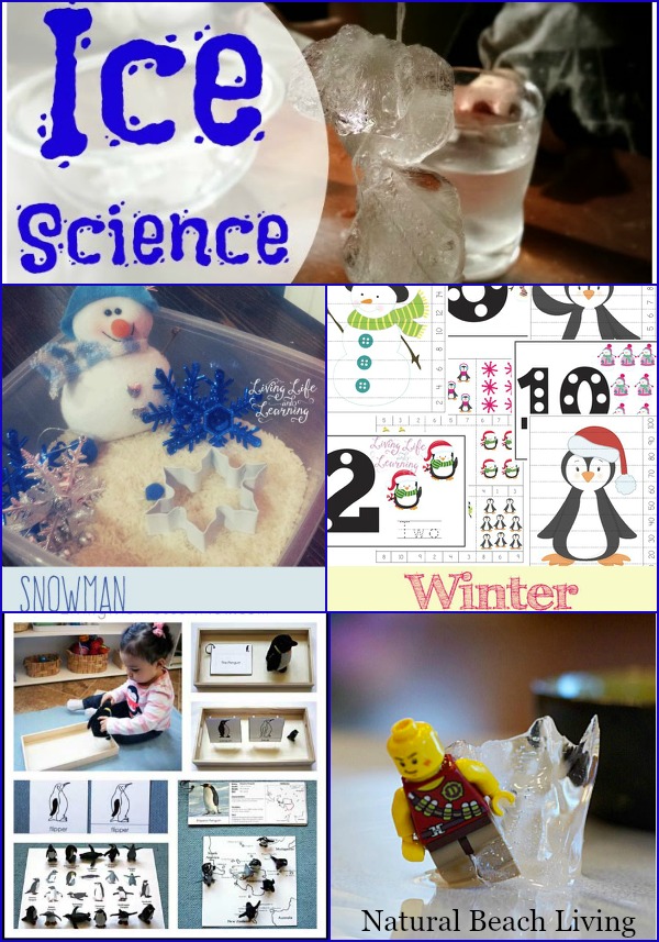 Winter Activities, Science, Printables, Penguins, Sensory Play and more www.naturalbeachliving.com