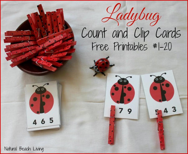 Ladybugs, Preschool Math, Count & Clip Cards,Math,Toddlers, fine motor skills,Spring activity,Free Printables,ladybug life cycle, www.naturalbeachliving.com