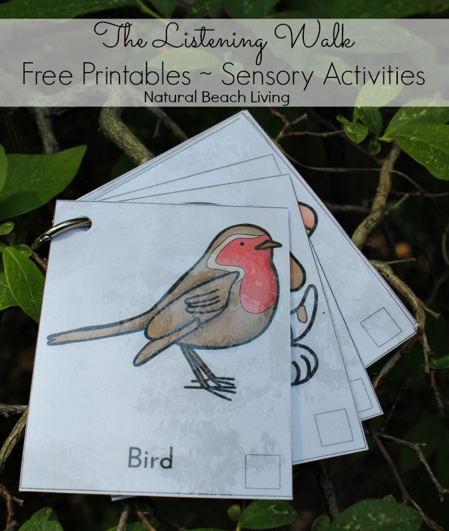 Easy Montessori Sensory Activities with Free Printables, 12 months of Montessori learning, Montessori Sensorial Activities, Montessori Printables, Montessori Sensorial Extensions, nature walk ideas for kids, Sound activities for kids, Maria Montessori, Montessori preschool, Nature ideas for kids, #Montessori #Montessoriactivities #Natureactivities