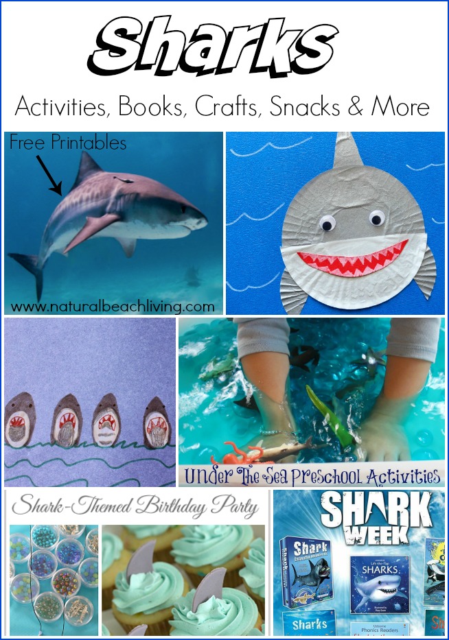 shark activities, crafts, books and more