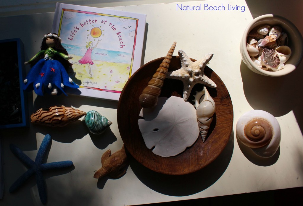The Best Summer Science, Sensory, Nature table full of exciting items to discover. Summer Sensory Bin, Shark Activities, Natural Learning, Shells, Waldorf, 