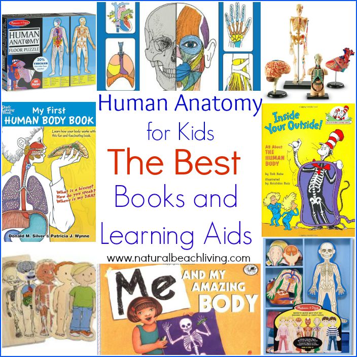 The Best Anatomy books and learning aids for kids, hands on learning, All About Me theme, Anatomy for Kids, Great Science and Health Education Books & Tools 