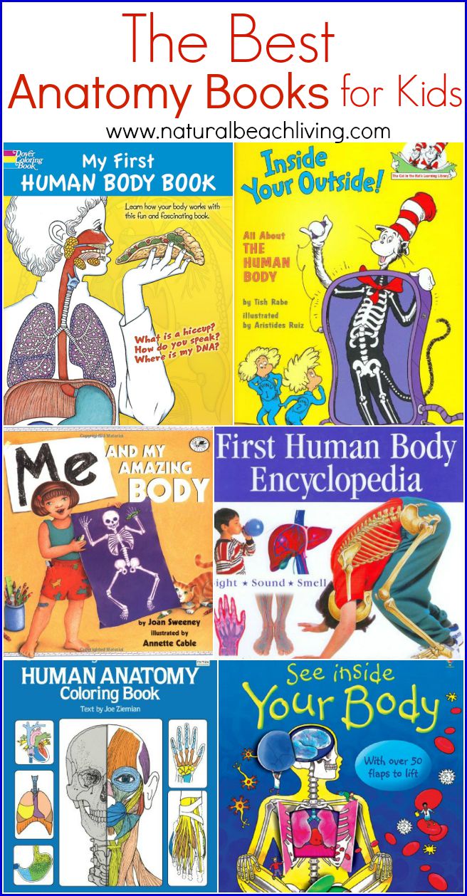 The Best Anatomy books and learning aids for kids, hands on learning, All About Me theme, Anatomy for Kids, Great Science and Health Education Books & Tools 