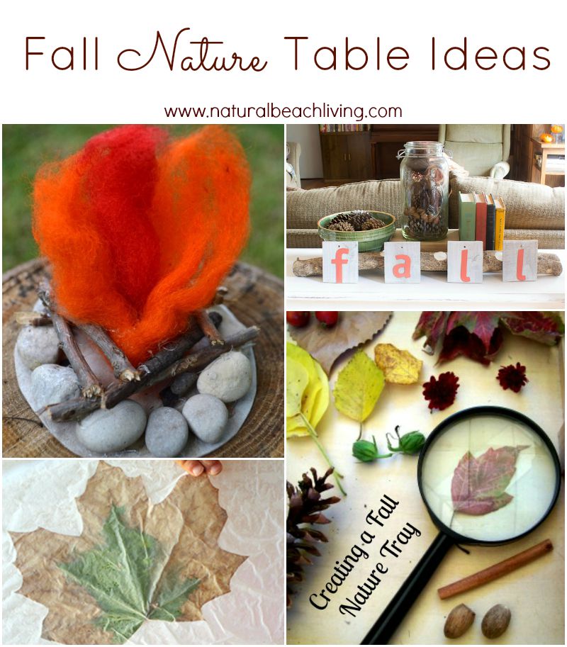 Fabulous Fall Nature Table Ideas and Inspiration, natural materials, Waldorf, Montessori, Reggio, Also a great Sensory & Science Exploration. Gorgeous!! 