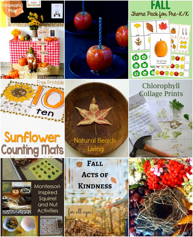 10+ Fabulous Fall Activities for kids, Free Printables, Montessori activities, Sensory Play, Dramatic play, Art and Nature Plus So Much More. 