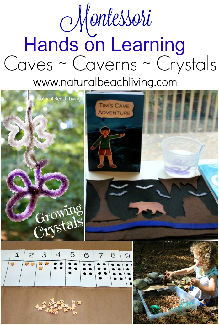 Montessori Bears, Caves, Caverns, and Crystals Unit Study for Kids