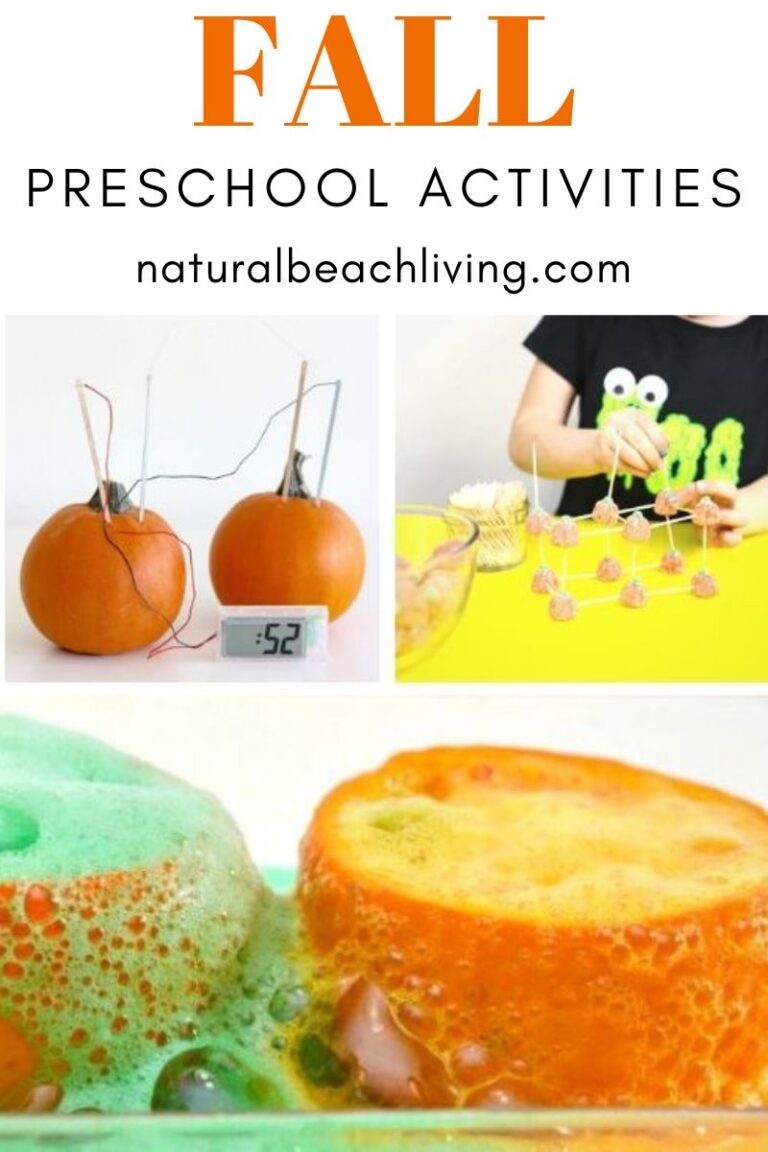 100+ Fall Preschool Activities and Free Printables