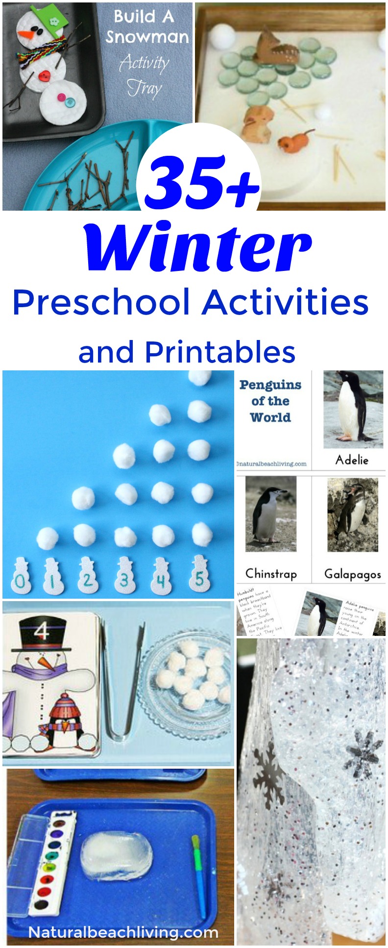 January Preschool Themes with Lesson Plans and Preschool Activities, These Fun January Preschool Activities explore winter, BEARS, Winter Animals, Nature, Penguins, Snow and so much more. Preschoolers will enjoy these fun hands on activities with monthly winter themes that include List of Themes for Preschool, January Holidays, Preschool Activities, and Preschool Lesson Plans for the Year
