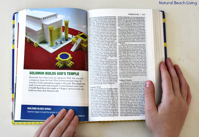 Faith Builders Bible (Review)