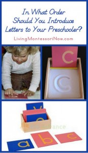 50+ Fun Ways to Teach the Alphabet - Natural Beach Living