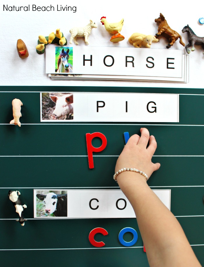 Montessori Farm Activities, Farm Theme Unit Study, Farm Animal Spelling words for Early Elementary, Movable Alphabet, Hands on Learning, Free Printables