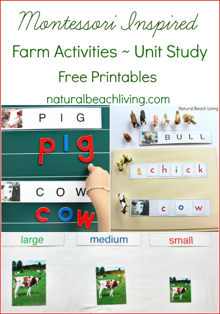Montessori Farm Activities, Farm Theme Unit Study, Farm Animal Spelling words for Early Elementary, Movable Alphabet, Hands on Learning, Free Printables