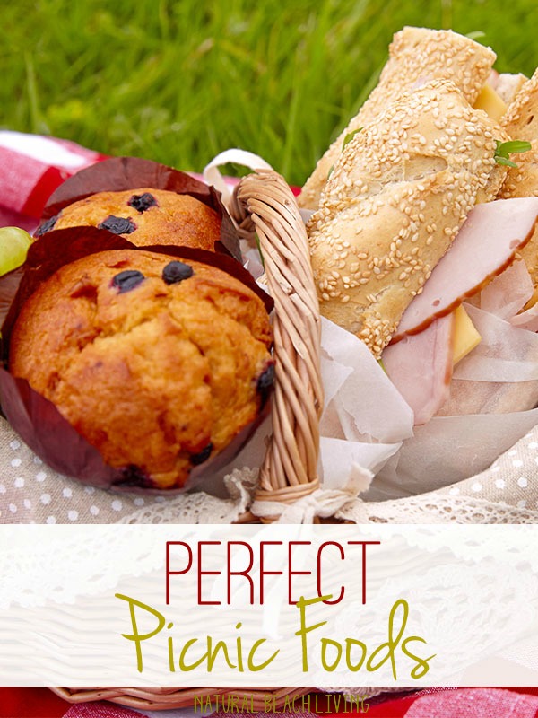 Perfect Picnic Food ideas, Healthy food for kids and family picnic ideas, Delicious recipes that are perfect for on the go, Toddler Lunch Recipes, Easy on the go recipes, Food that you want to eat. Easy Picnic Recipes