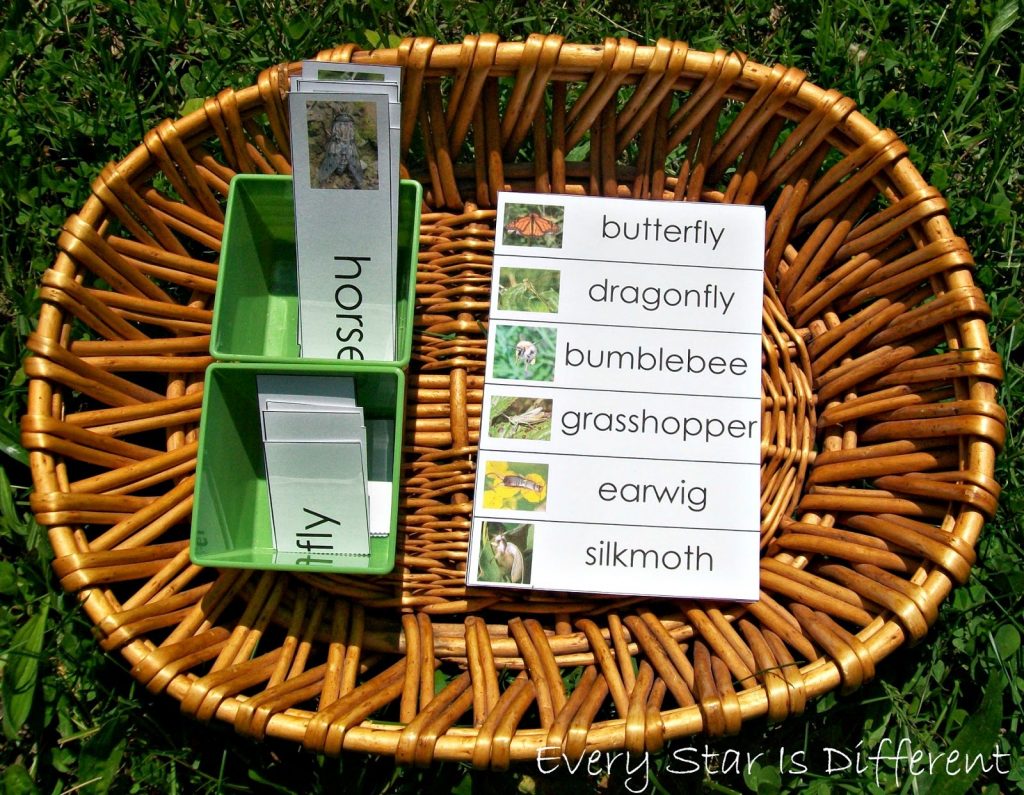 The Perfect Montessori May Activities, Pond theme, pond activities, strawberry life cycle and parts, Free printables, Insects, Sensory and more.