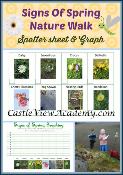 The Perfect Montessori May Activities, Pond theme, pond activities, strawberry life cycle and parts, Free printables, Insects, Sensory and more. 