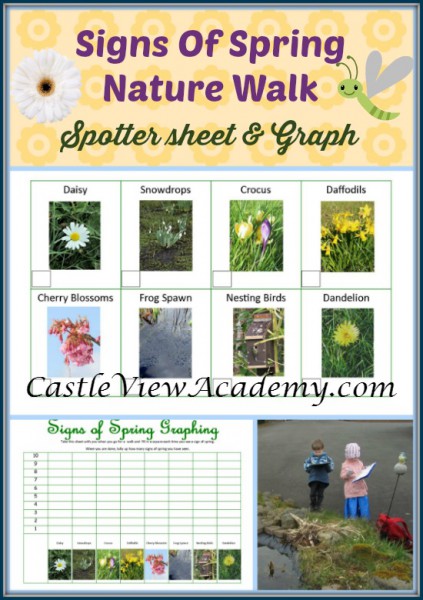 The Perfect Montessori May Activities, Pond theme, pond activities, strawberry life cycle and parts, Free printables, Insects, Sensory and more.
