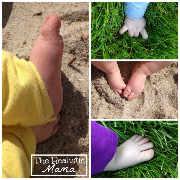 The Perfect Montessori May Activities, Pond theme, pond activities, strawberry life cycle and parts, Free printables, Insects, Sensory and more.