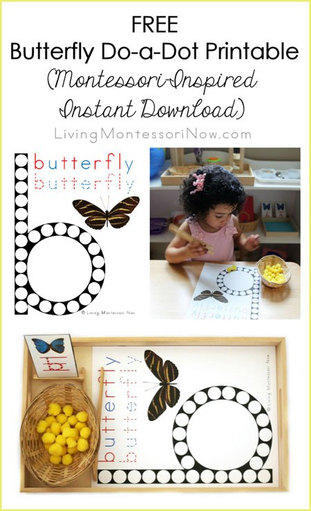 The Perfect Montessori May Activities, Pond theme, pond activities, strawberry life cycle and parts, Free printables, Insects, Sensory and more.