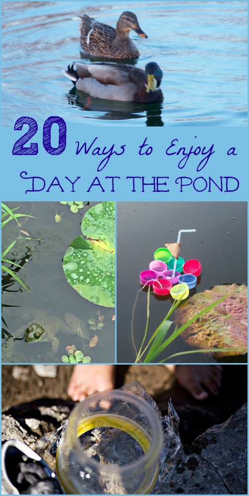 The Perfect Montessori May Activities, Pond theme, pond activities, strawberry life cycle and parts, Free printables, Insects, Sensory and more. 