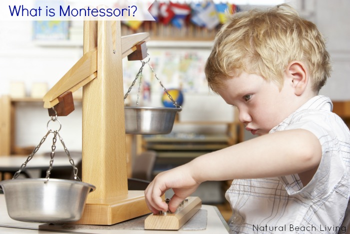 Have you ever wondered what Montessori is? Interested in learning about Maria Montessori and the Montessori Philosophy, This is Perfect for you.