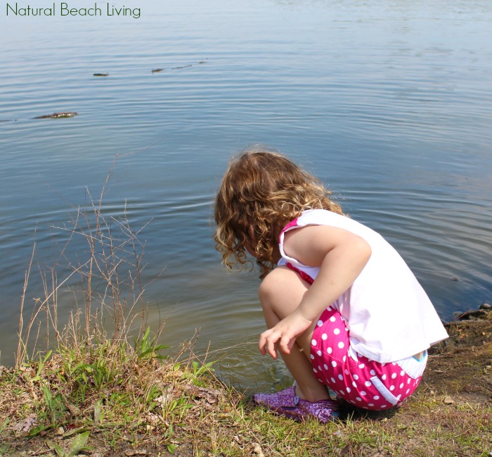 An Engaging nature study activity, Add this FREE Pond Scavenger Hunt for kids! Your kids will love exploring pond life and searching for the natural items on this list. Great Pond Life Theme Activities and Free Scavenger Hunt Printables