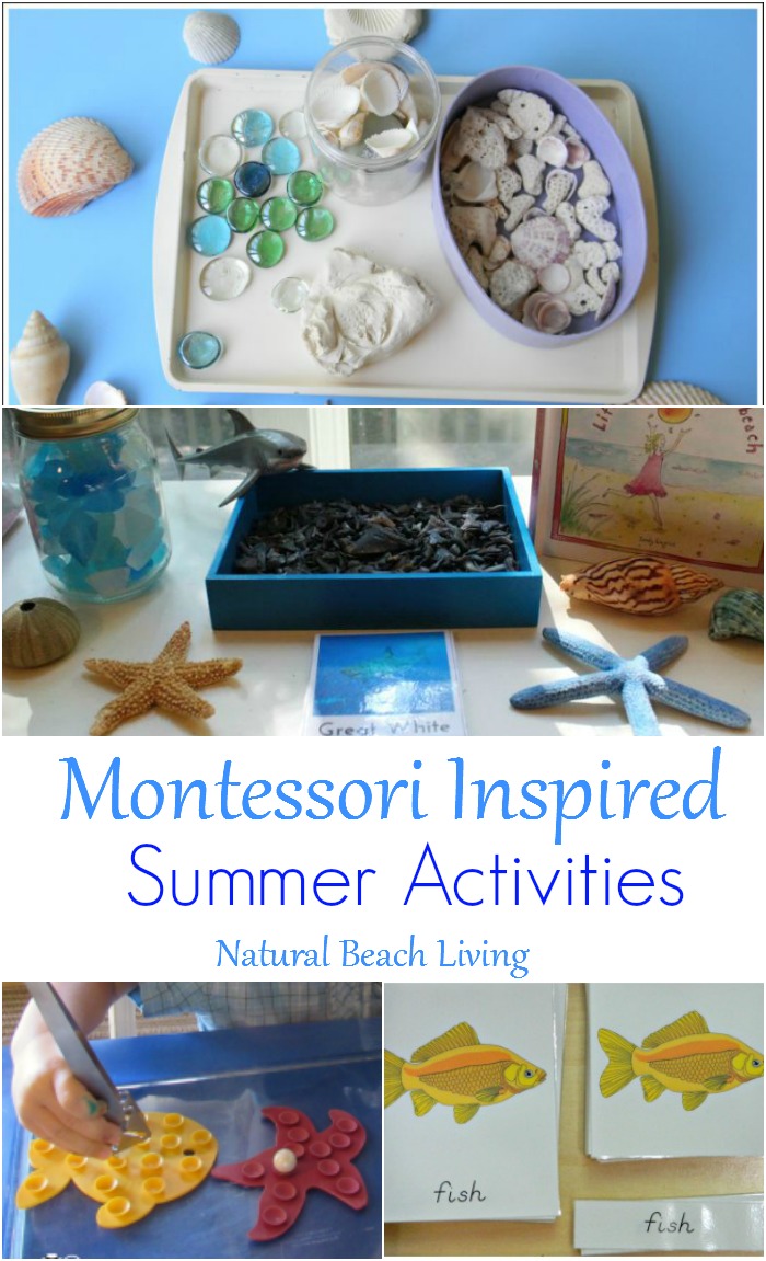12+ Montessori Summer Activities ~ Perfect Themes for June
