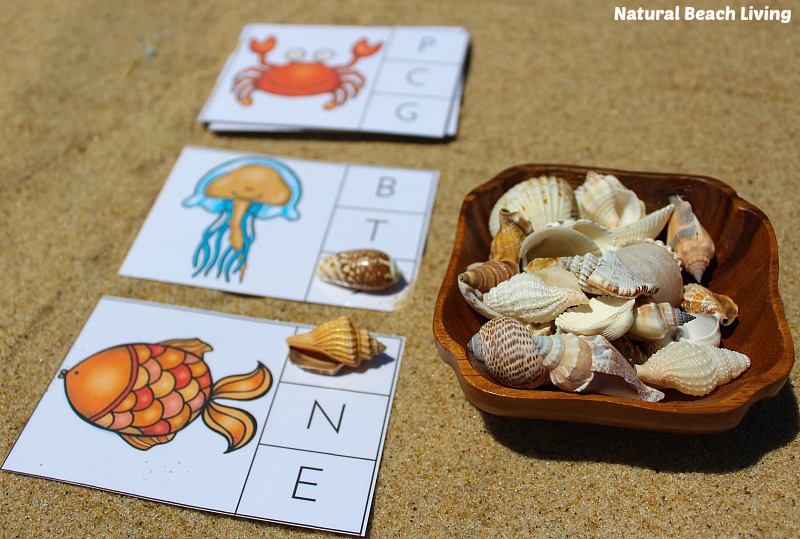 The Best Ocean Animals Preschool Activities, Free Printables, Perfect Preschool Ideas for Ocean or Under the Sea theme, I SPY Counting & Alphabet Clip Cards