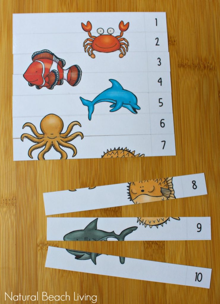 The Best Ocean Animals Preschool Activities, Free Printables, Perfect Preschool Ideas for Ocean or Under the Sea theme, I SPY Counting & Alphabet Clip Cards, Puzzles and more 