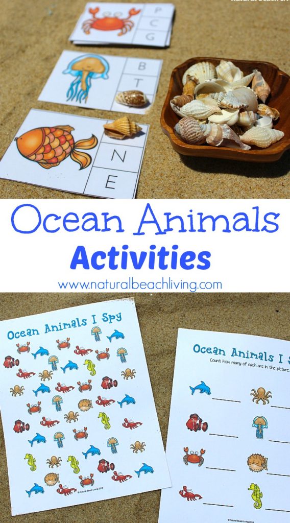 The Best Ocean Animals Preschool Activities, Free Printables, Perfect Preschool Ideas for Ocean or Under the Sea theme, I SPY Counting & Alphabet Clip Cards, puzzles and more 