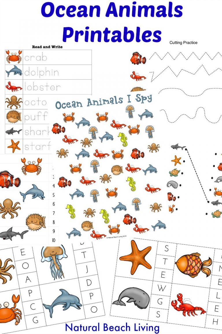 Ocean Animals Preschool Activities with Free Printable Activities