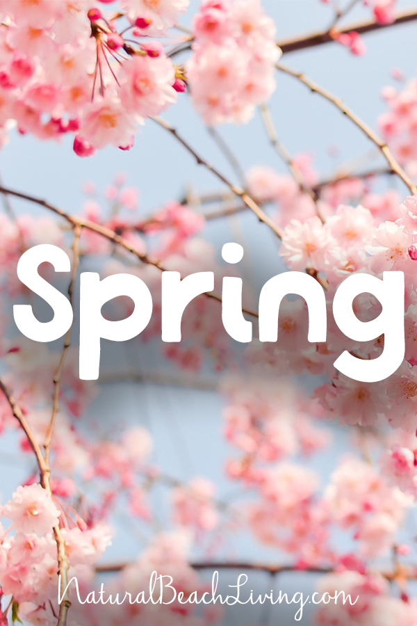 Spring