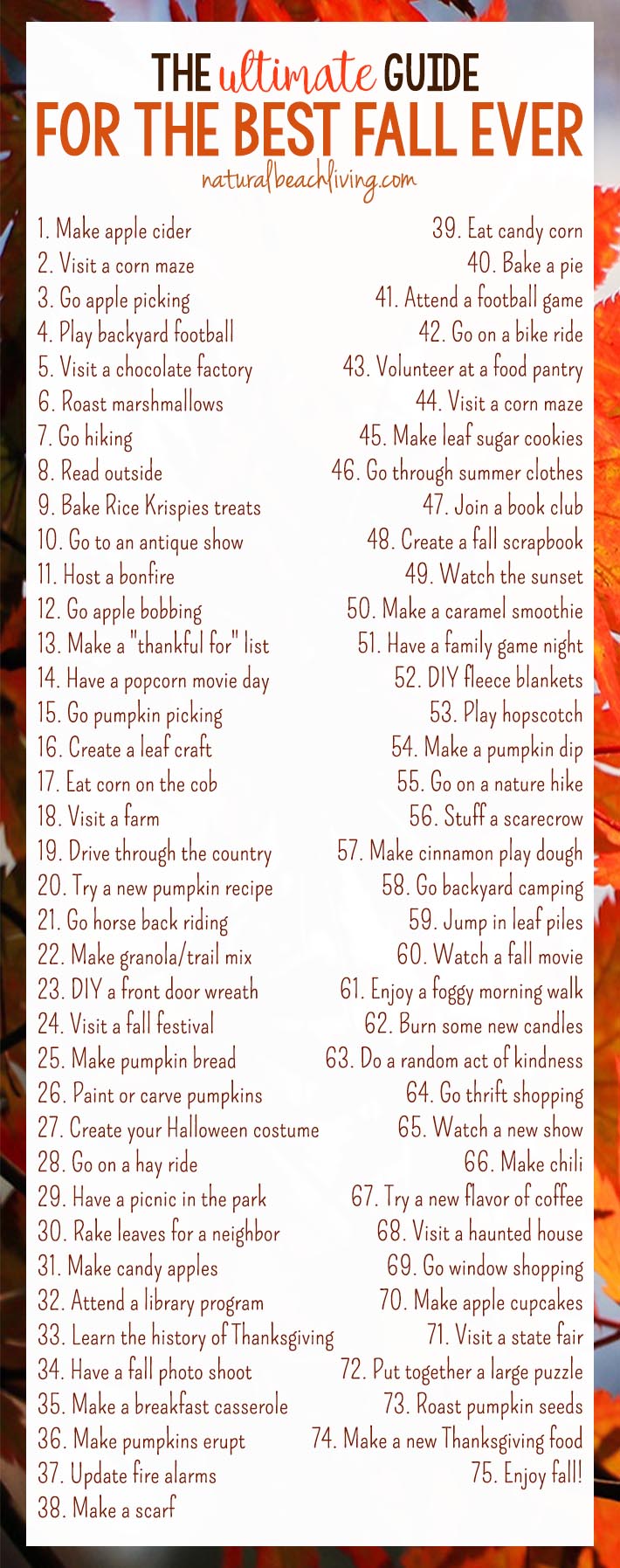 30 Days of Fall Activities for the Whole Family, Fall Activities for Kids, Fall Activities for Adults, From picking apples to making a scarecrow, there's something for everyone! And to make things even easier, we've provided a free printable Fall Bucket List so you can keep track of all the fun things you do, Fall ideas, Autumn