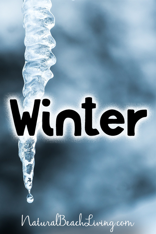 Winter, Welcome Natural Beach Living Subscribers, 150+ Free Printables and Hands on Activities on Natural Living, Homeschooling, Lesson Plans, Party Ideas, Craft Templates, Free Daily Visual Schedules and so much more