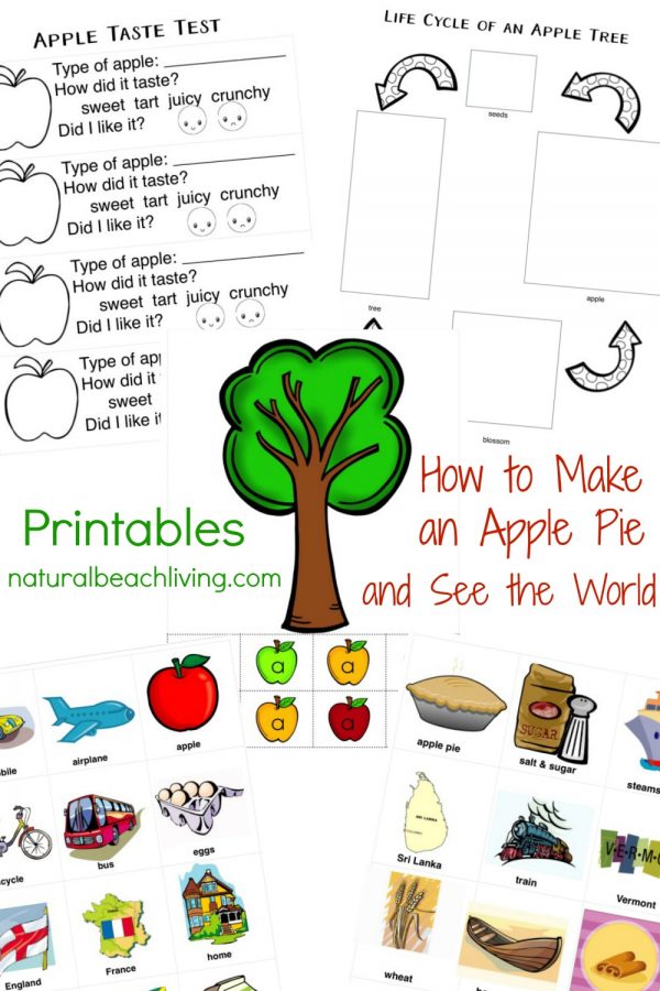 30+ Free Apple Printables for Preschool and Kindergarten - Natural ...