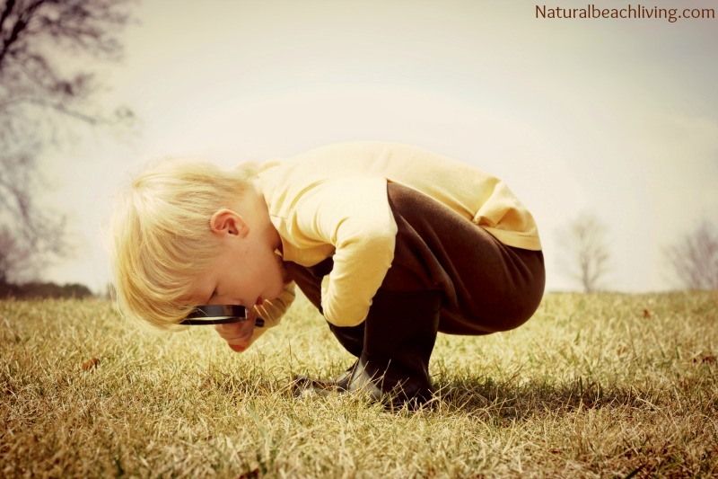 The Best Things to Have When Teaching Preschool, Hands on learning, natural materials, Science, Imaginative play, Fine motor skills, Arts & crafts plus so much more, all from a Former Preschool Teacher 