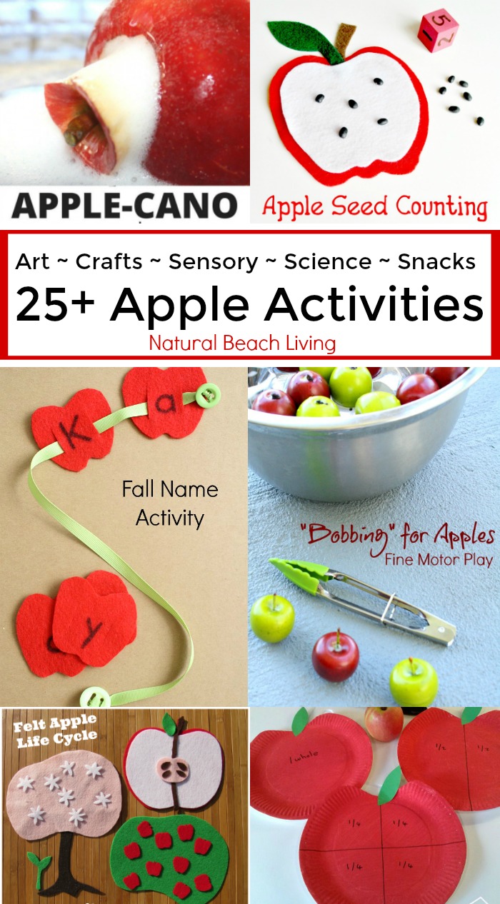 25+ Awesome Apple Activities for Kids, Sensory Play, Science, Fine Motor, Apple Snacks, Fall Art,Crafts, Books, Fiar, Perfect for any fall day or apple unit 